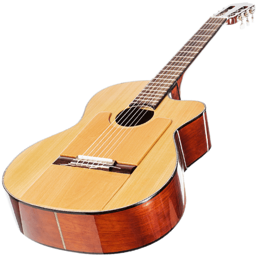 Полное секвенирование генома: расшифровка ДНК человека в генетическом ...